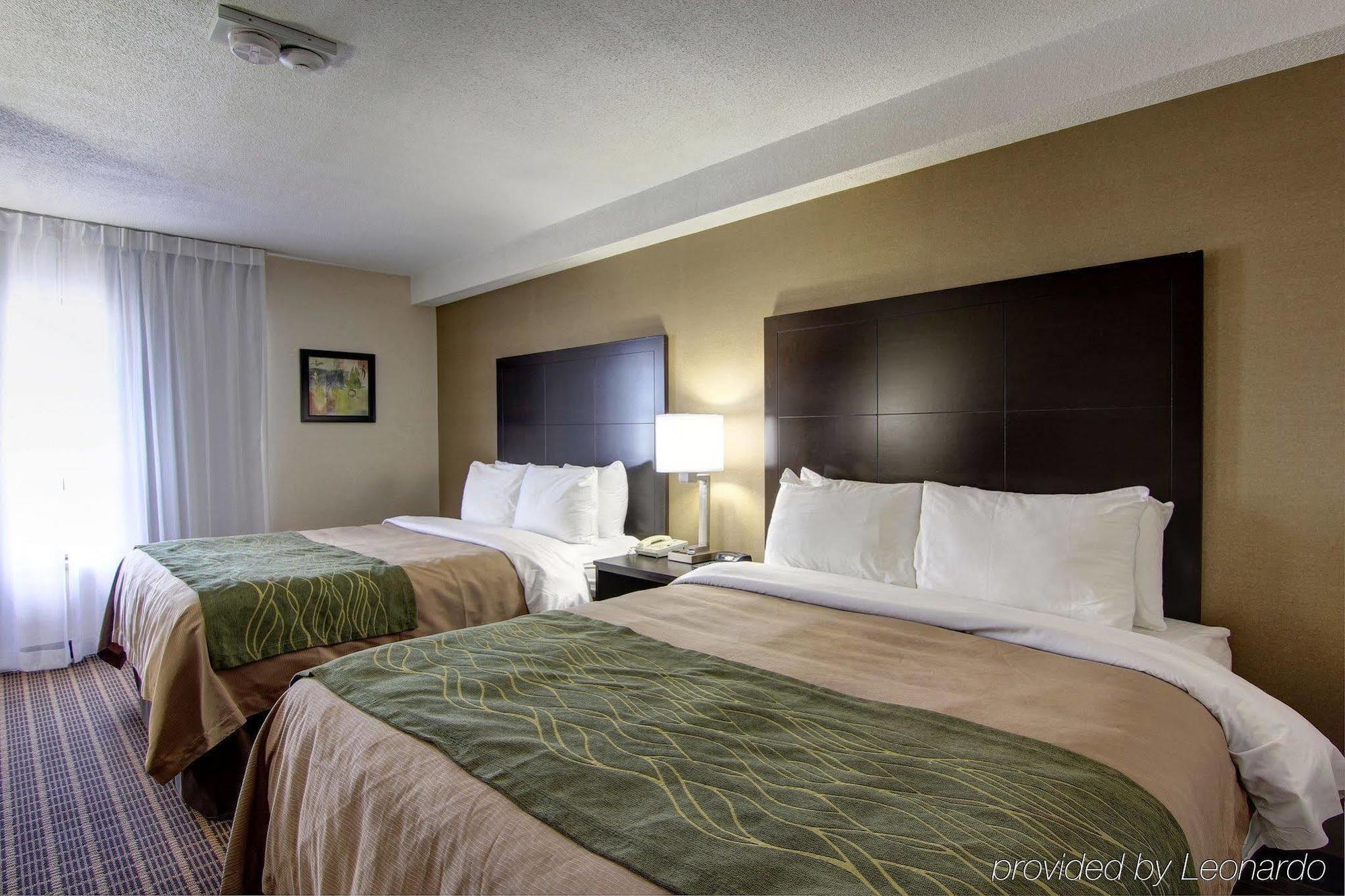 Comfort Inn Windsor Esterno foto